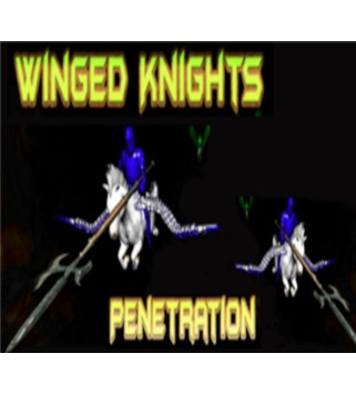Winged Knights: Penetration Steam Key GLOBAL